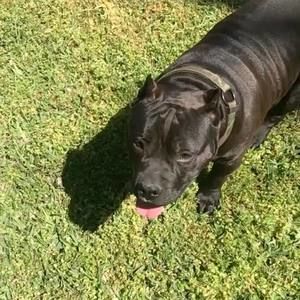 Meet your Posher, Kawanis